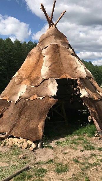 Беловежская пуща Беловежская пуща