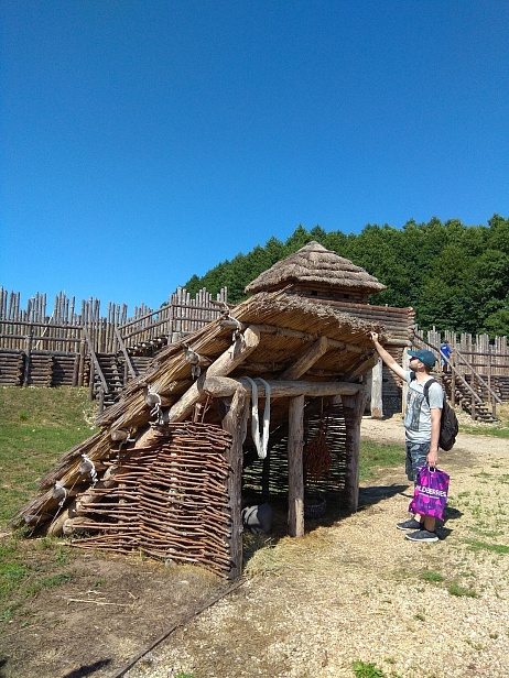 Беловежская пуща Беловежская пуща